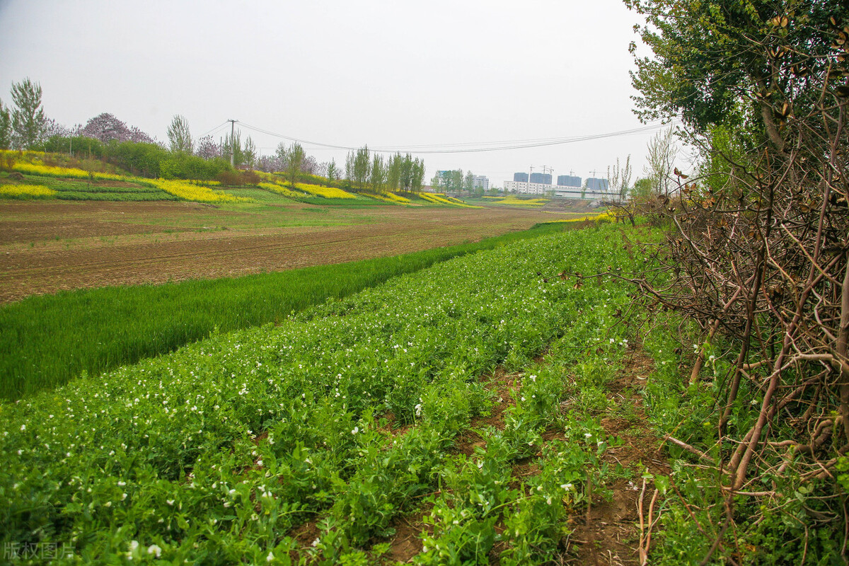 忆班长#身边的焦裕禄原曲霞镇书记赵垣轩#人民公仆#时代的干部