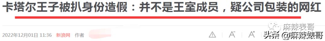 金晨模仿卡塔尔小王子晒照,金晨模仿卡塔尔王子被起诉了吗