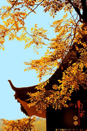 绵阳南实中学实验学校和南山双语,绵阳南山中学实验学校