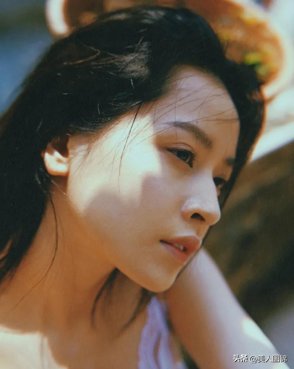 越南芝芙,芝芙越南