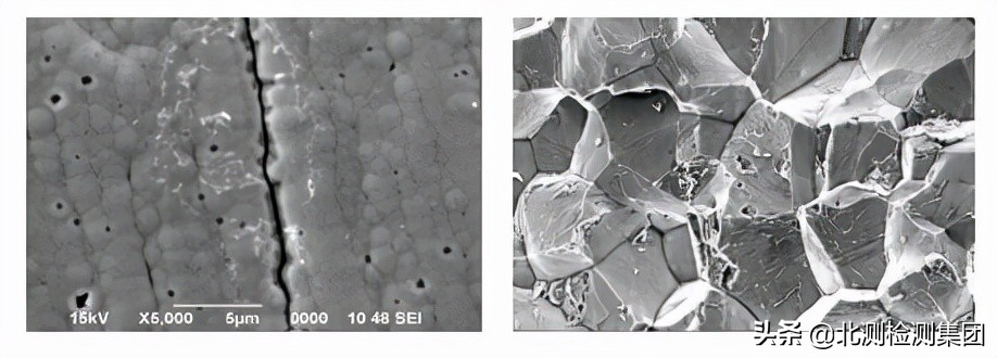 扫描电镜能谱分析实验步骤,扫描电镜sem分析结果