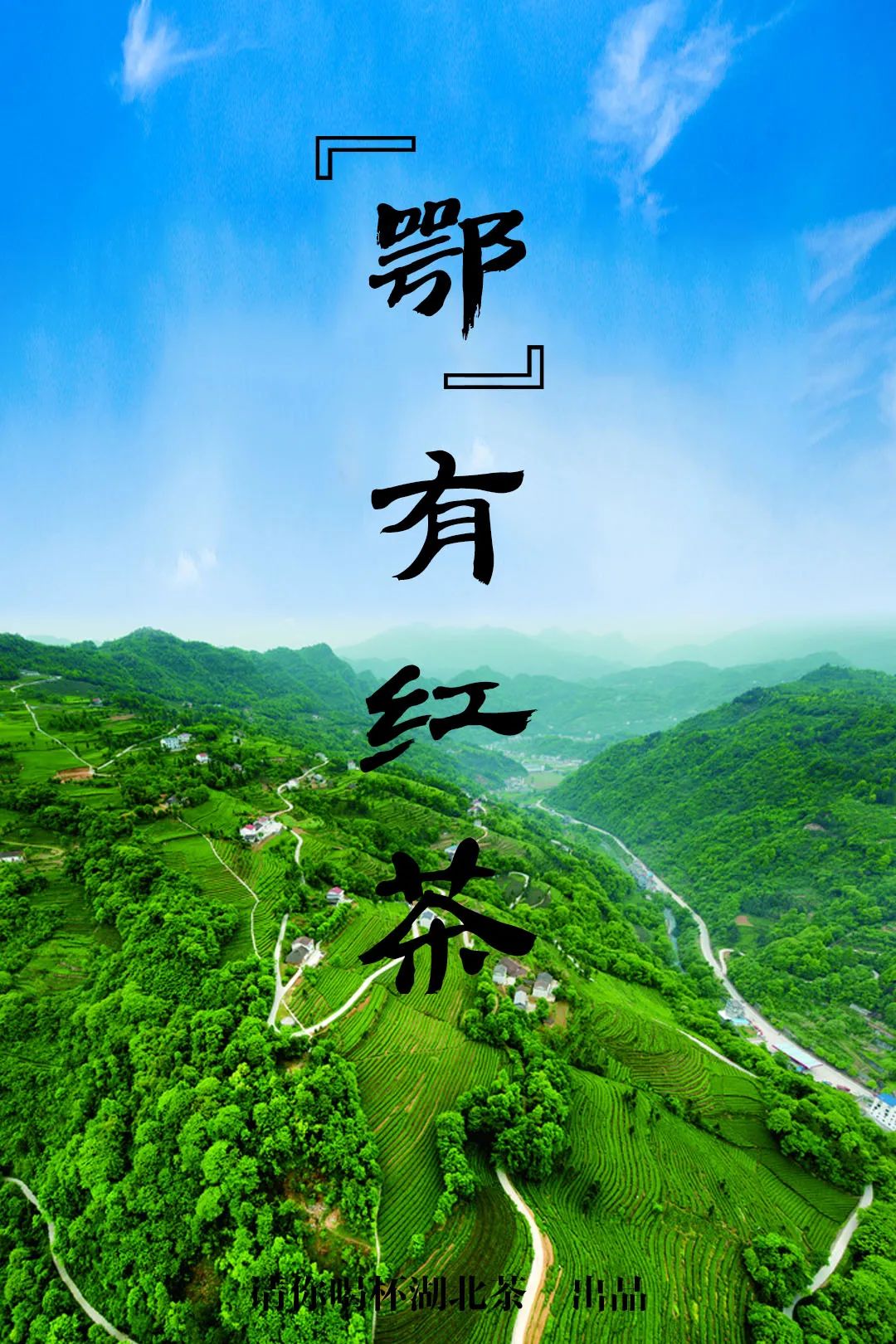 湖北有哪些红茶,湖北最受欢迎红茶