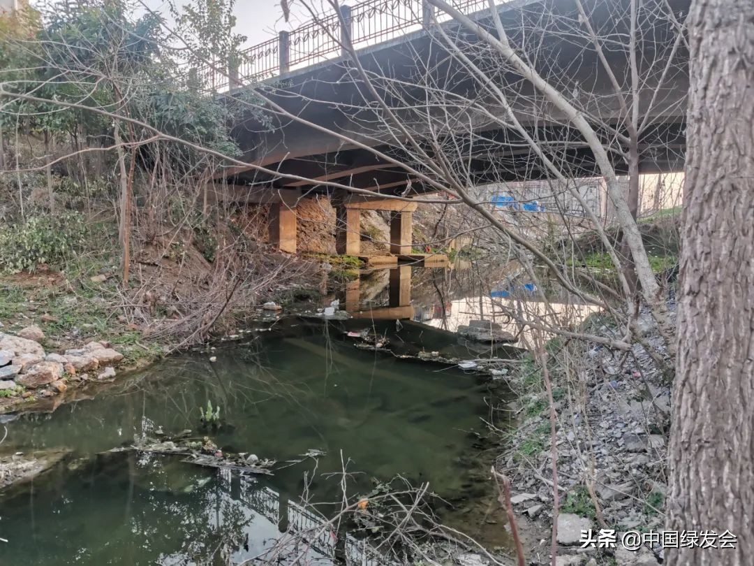 汉江沿线垃圾治理,湖北省老河口市汉江流域