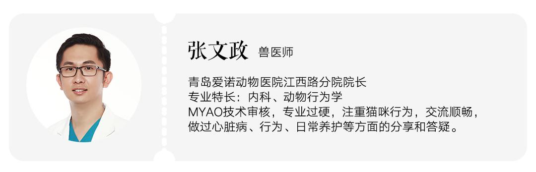 再见了，项圈，再也不见！