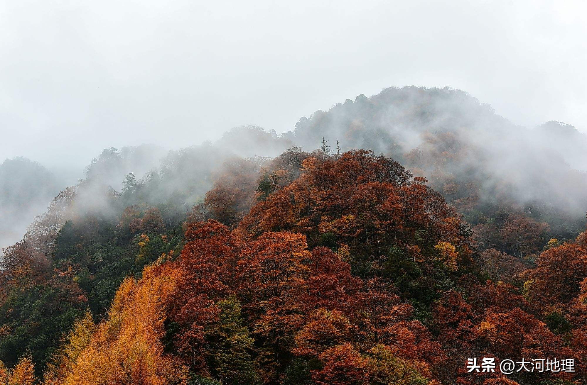 中国南方这30个景点,难说多知名,但敢说它的秋色最艳最浪漫