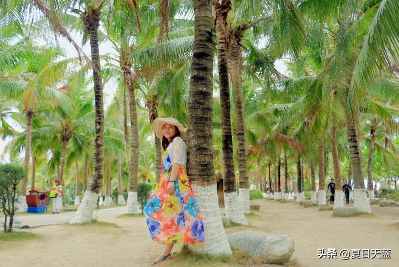 三亚度假最佳选择,三亚度假正确打开方式