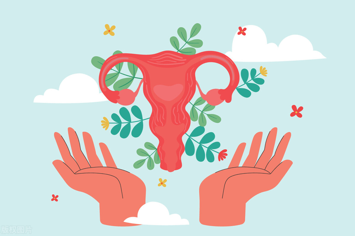 黄芪加枸杞子宫肌瘤能喝吗,黄芪加两物血管不堵效果倍增