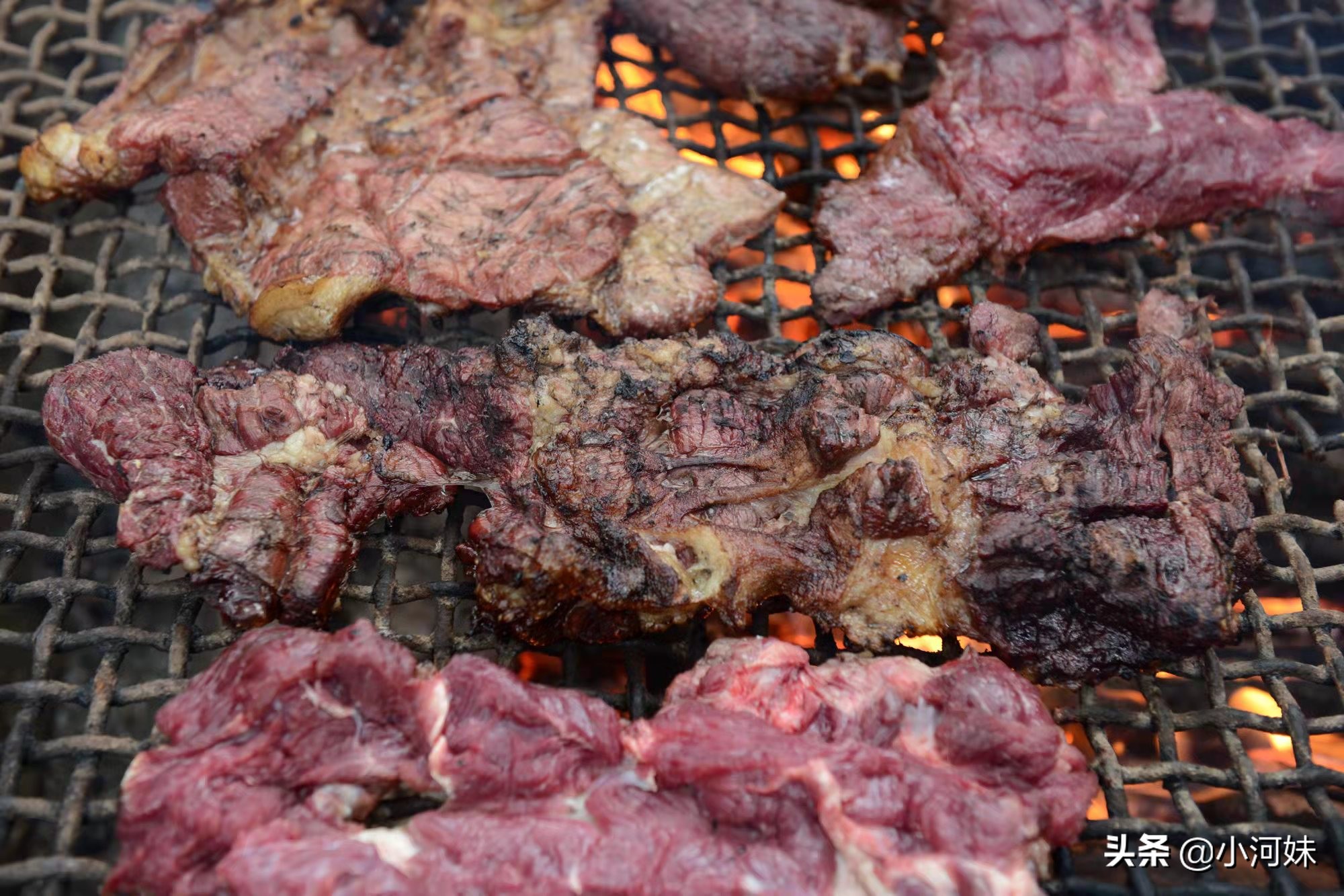 鐗涚墰鍒板簳鏈夊鍘夊,鐗涚墰骞夸笢