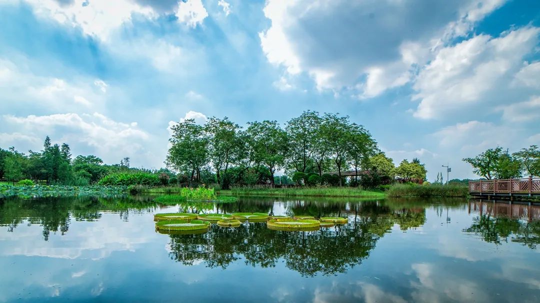 嗯，天河很好，但我选择白云