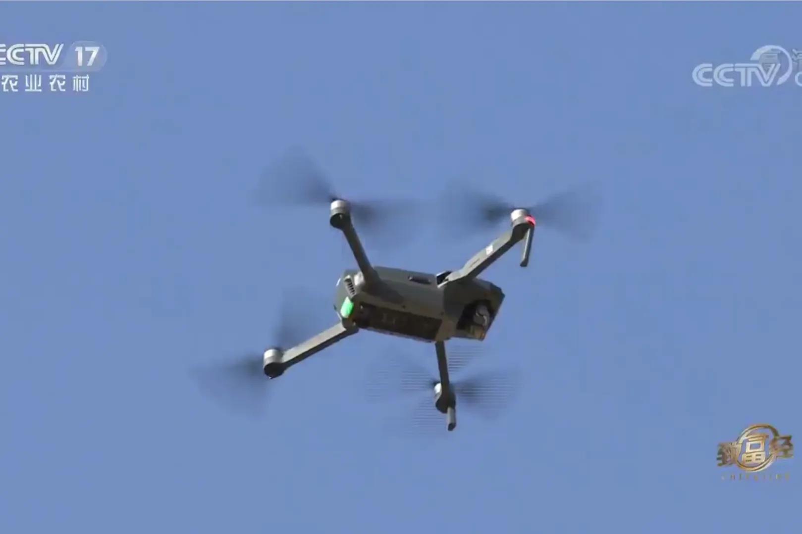 200亩荒山变成聚宝盆,荒山摇身一变成村民聚宝盆