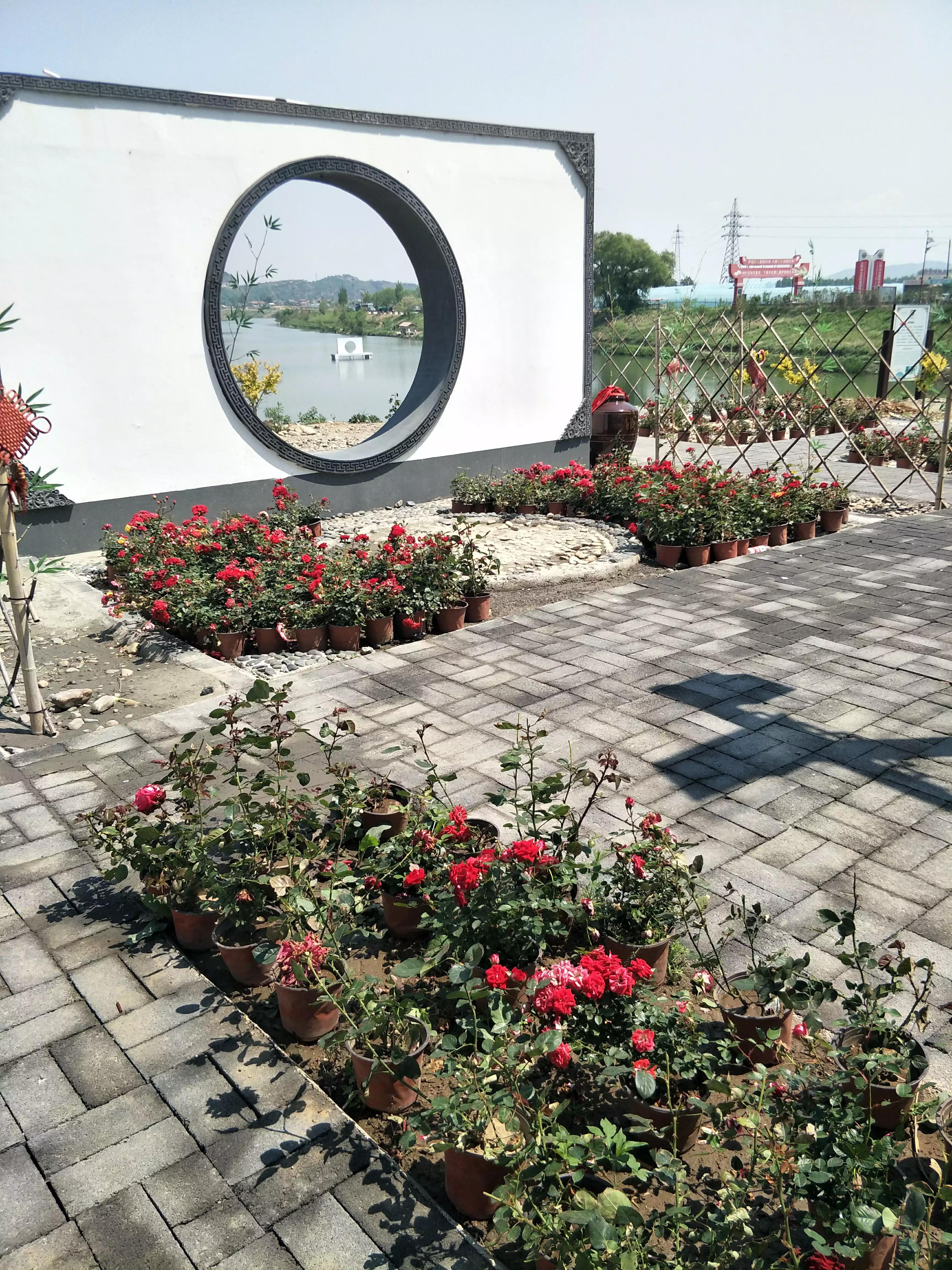 辽阳小城慢生活,辽阳小资情调