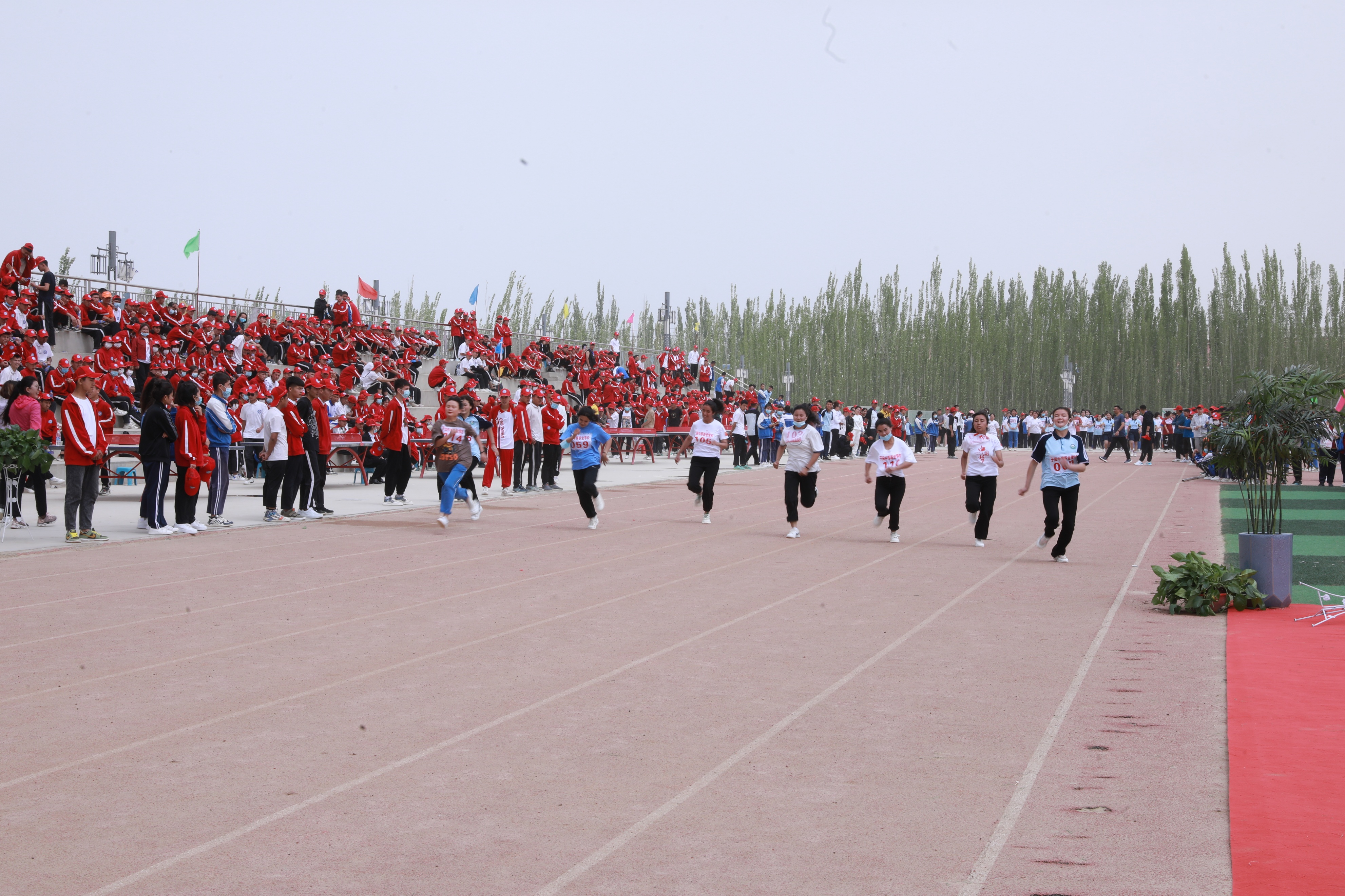 运动校园展现青春活力,校园赛场青春激扬活力四射