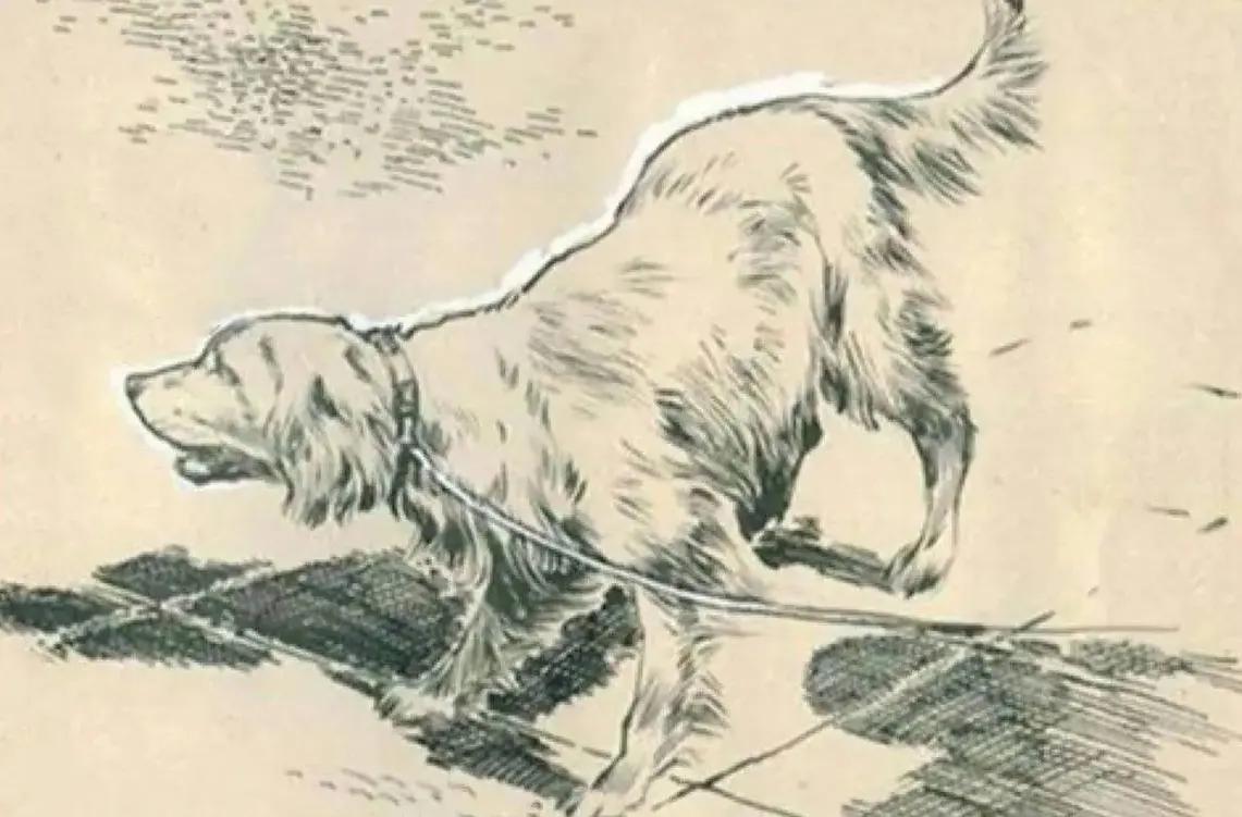 民间故事小叔,民间故事小叔救嫂