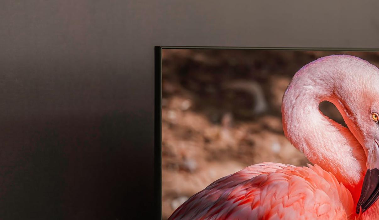 tcl电视的测评,tcl电视55寸性价比较高的几款