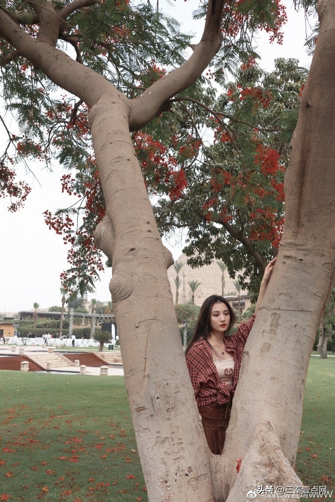 cba最美妻子,cba最美太太张常宁