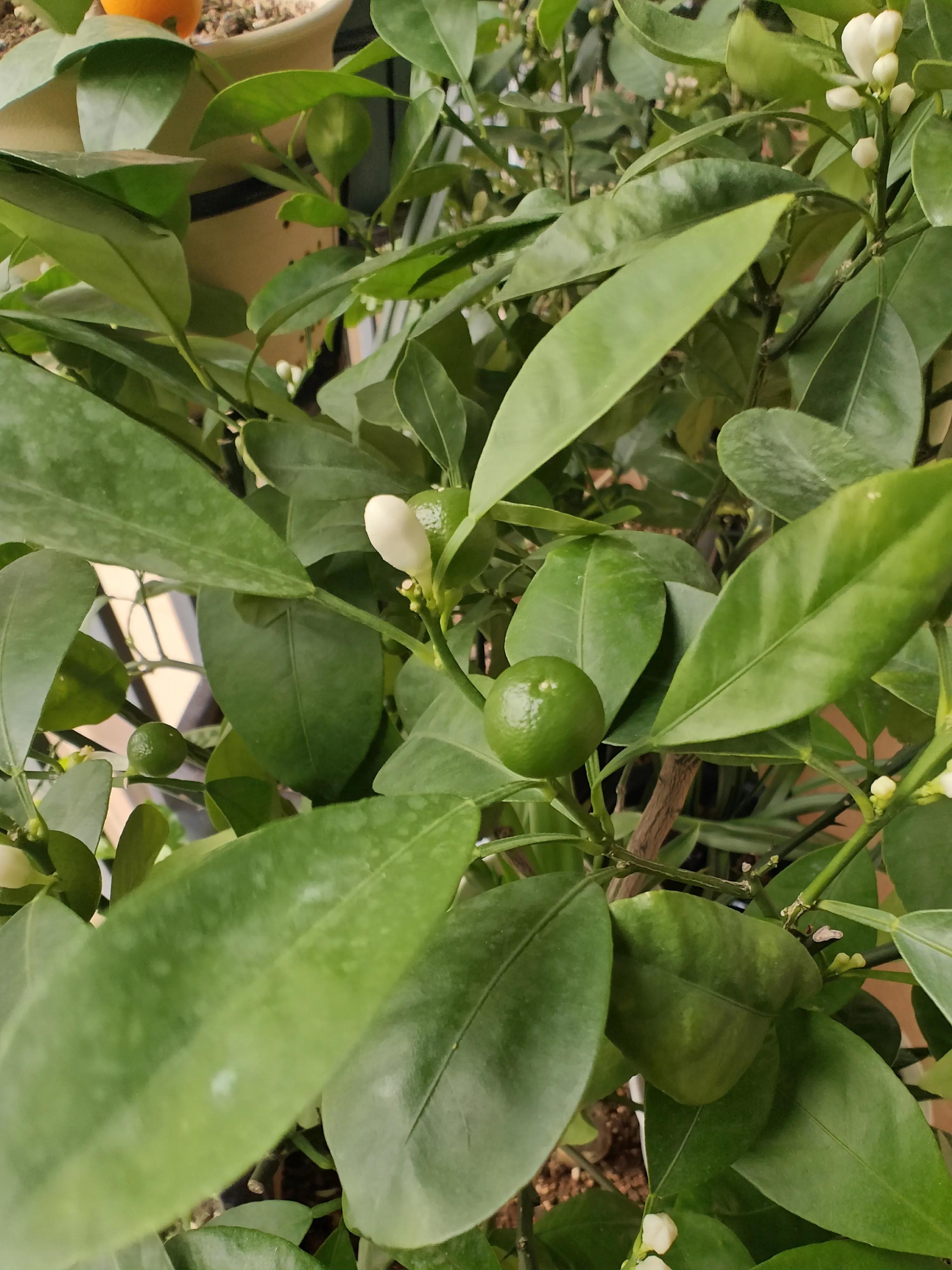 记事本日记图片,记事本日记本