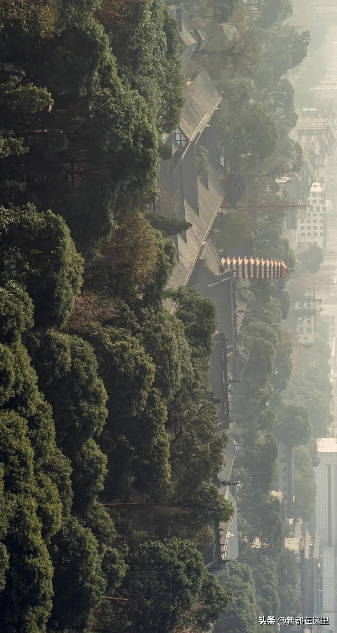 新都拍照个人写真,新都网红写真