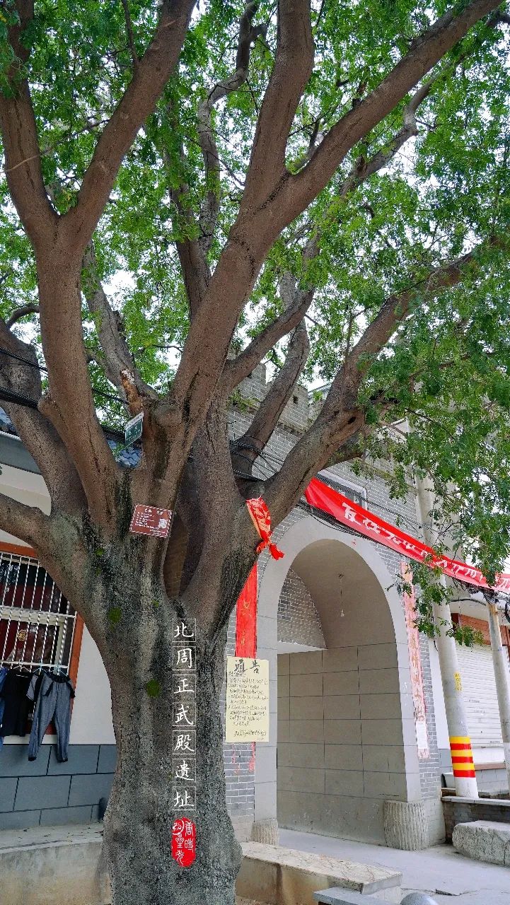 【陕西西安】汉长安城中的北周正武殿遗址帝王梦想的见证人