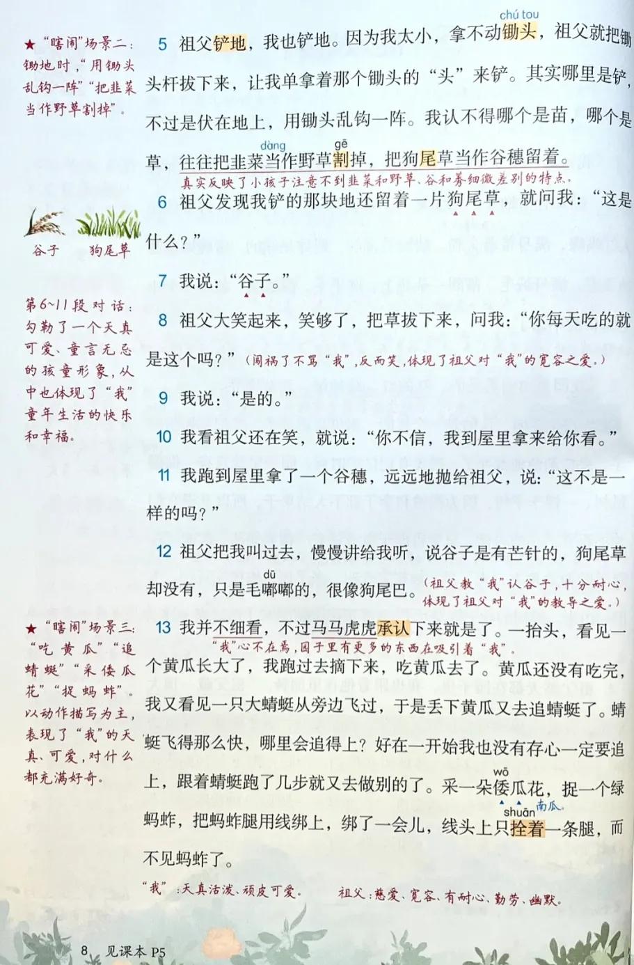 五年级下册第8单元的第22课的笔记,五年级下册语文课堂笔记第一篇