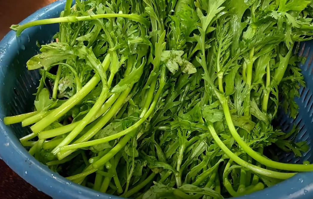 常吃啥能养心安神助眠,五种常见的食物养心安神可助眠