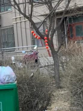 生活本就是不停的奔波,元旦将至忙忙碌碌