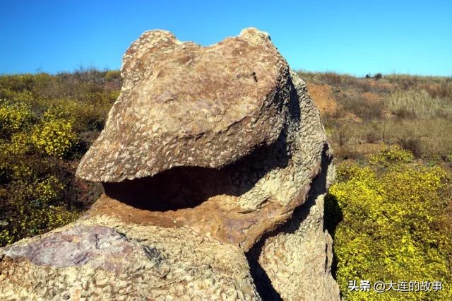 大连金普新区石槽村的那片玫瑰石，你去看过吗？