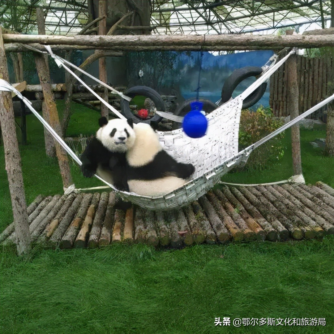 一个温暖的城市鄂尔多斯,鄂尔多斯一个温暖世界的城市