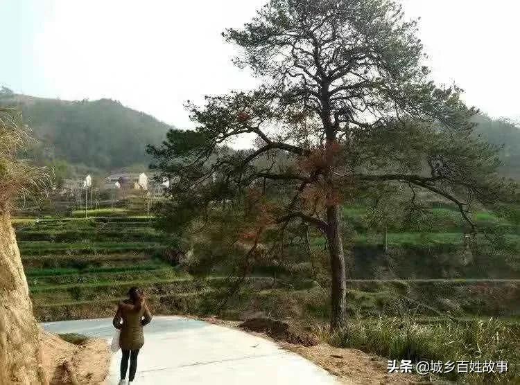 走笔山水人文红色杜家山