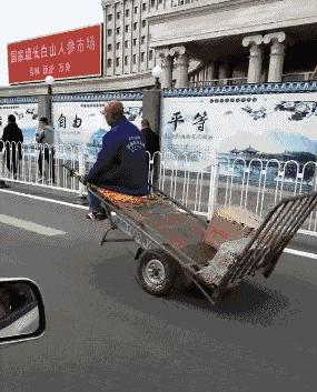 性取向测试,性取向测试怎么看结果