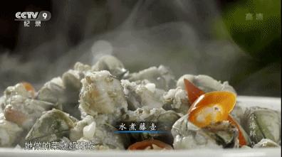 东海最后一处冷门小县城，藏了个海上仙子国，一口小海鲜封神