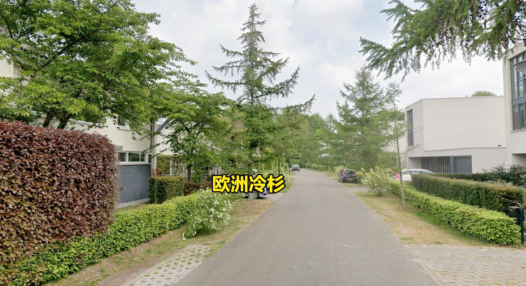 探访欧洲农村：荷兰农村房子，比我国农村房子小，但环境比我们好