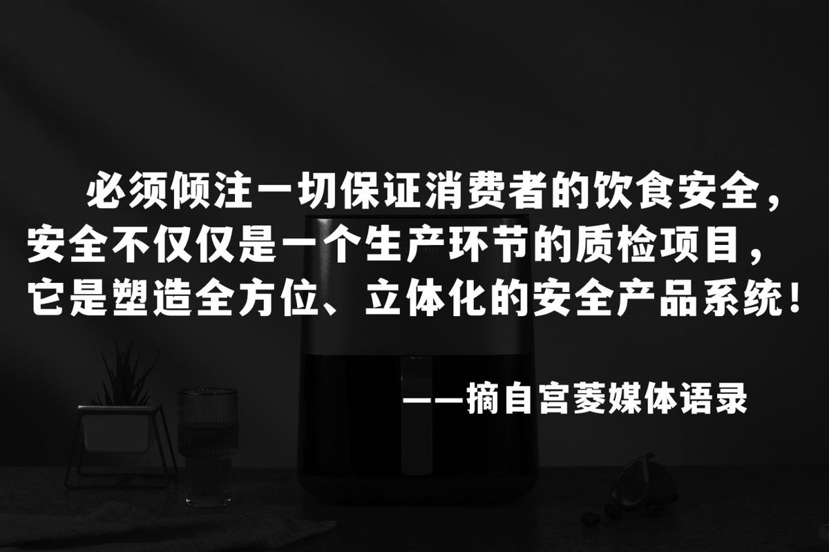 飞利浦空气炸锅与其他品牌的区别,目前口碑最好的空气炸锅品牌排名