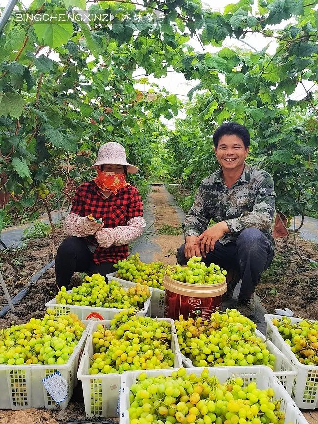 旅居海南：九所新区的浪漫情