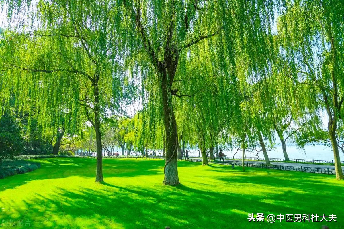 硬度不够无非就是不足和不通，一方补虚化瘀恢复该有的韧性