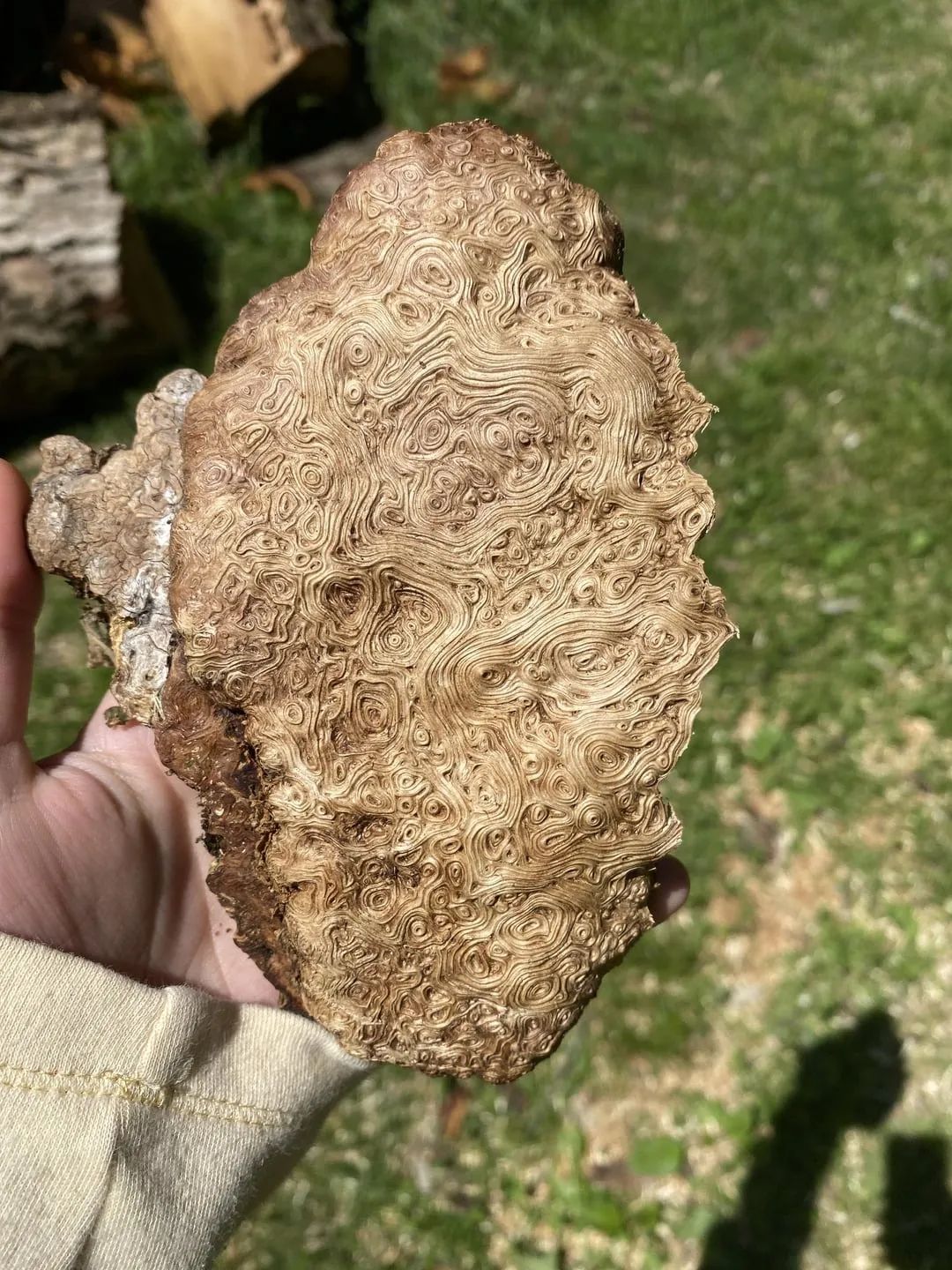 10张绝美站立姿图,20张让人涨知识的图片