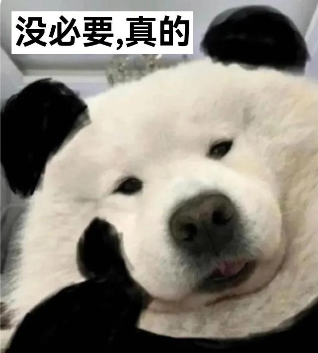 最新千元机性价比最高的手机,性价比最高的千元机型