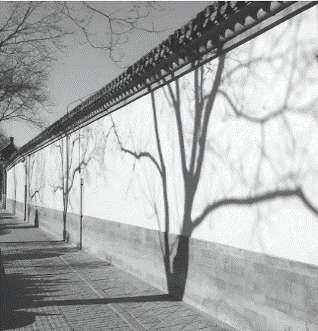 备战23年高考地理一轮复习（新高考专用）06地球公转的地理意义