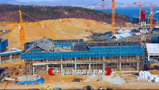 政企携手助推地方高质量发展,金石滩最严营商环境