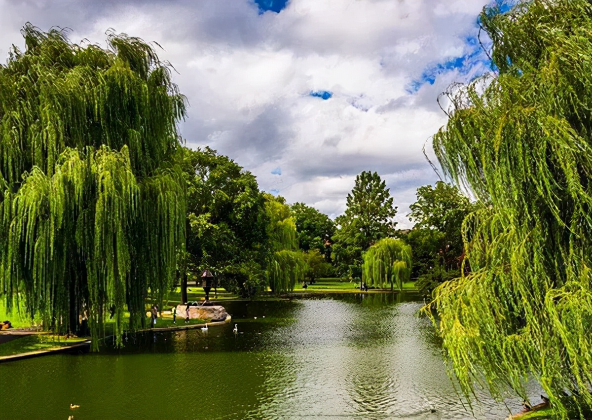 十大田园诗词排行榜,孟浩然过故人庄全诗欣赏