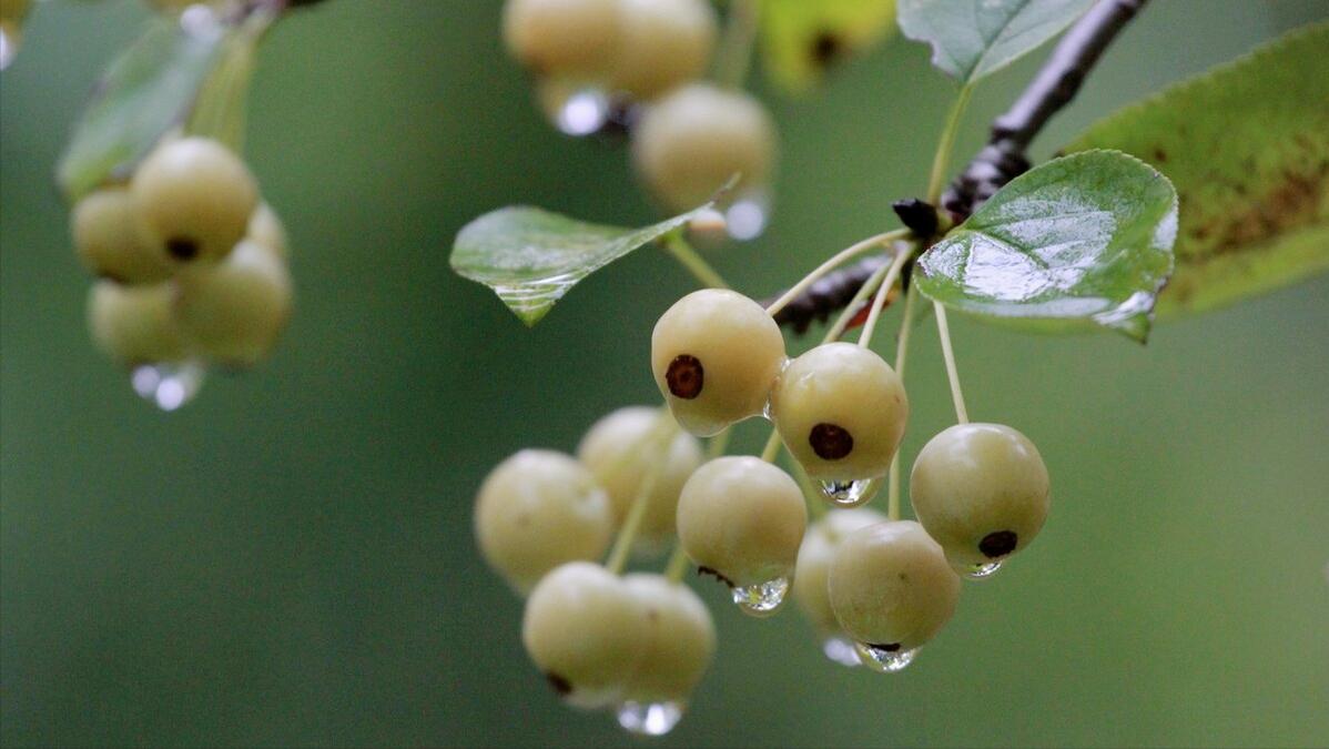 商界大佬的创业故事,100个商业大佬创业故事