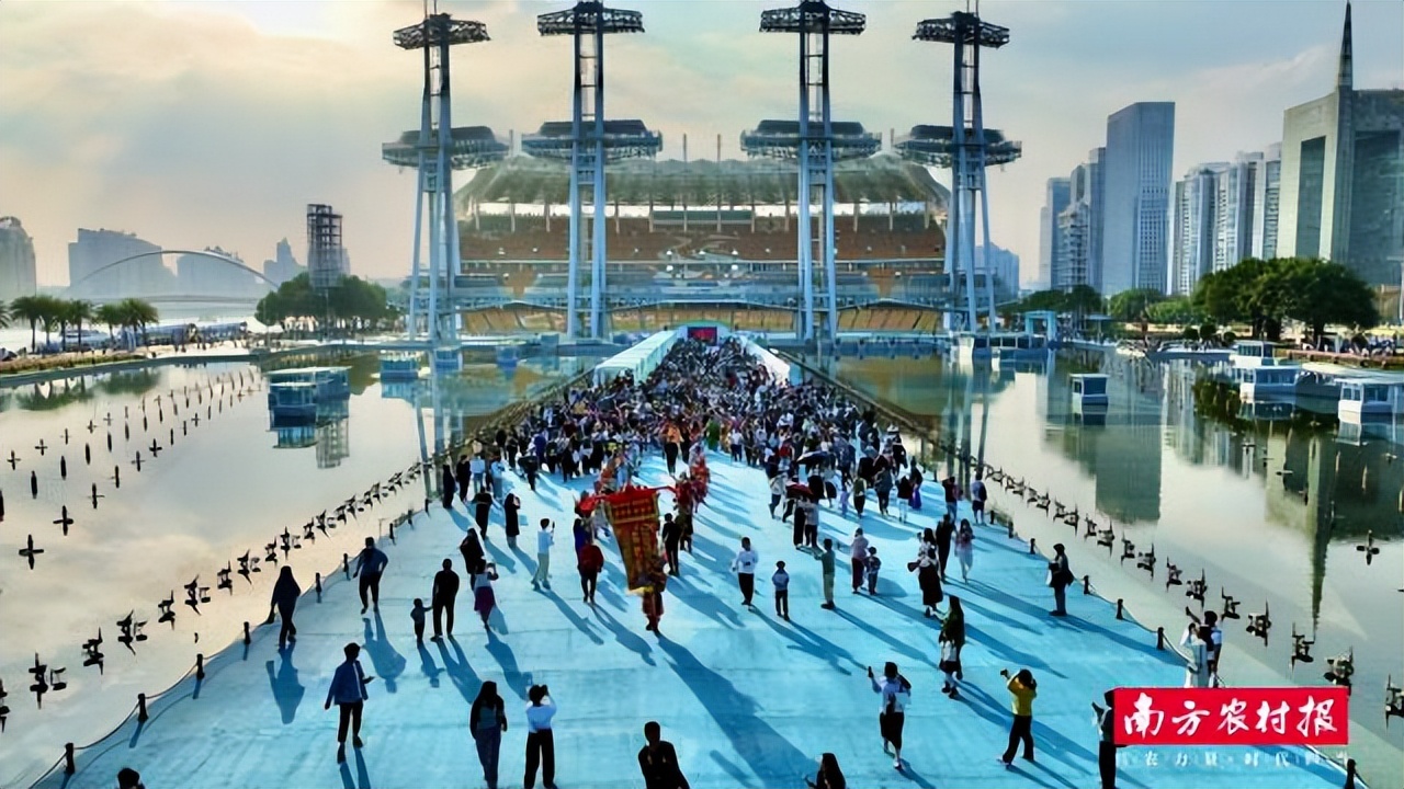 潮州金山橄榄,老树橄榄和潮州橄榄