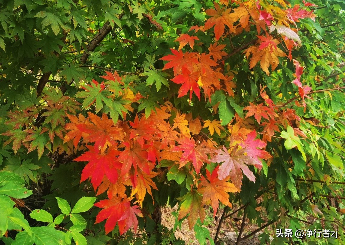 图们江口岸游记,从图们市到牡丹江自驾游