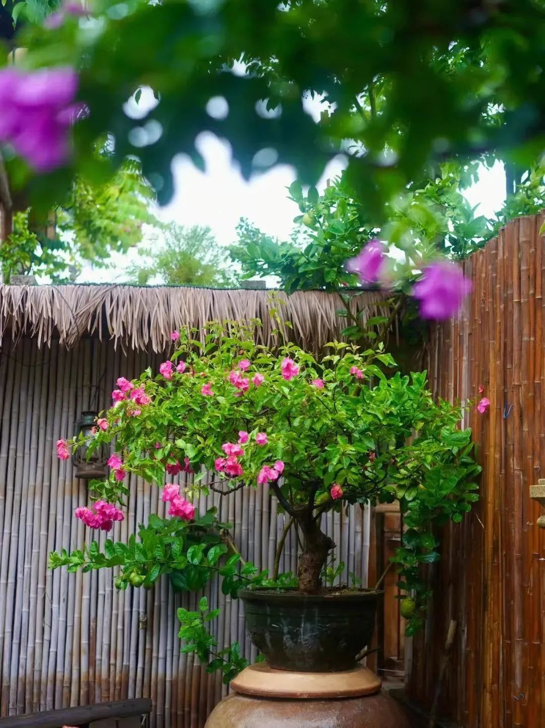 「2022.11.03」早安心语，正能量经典哲理语录句子很赞的问候图片