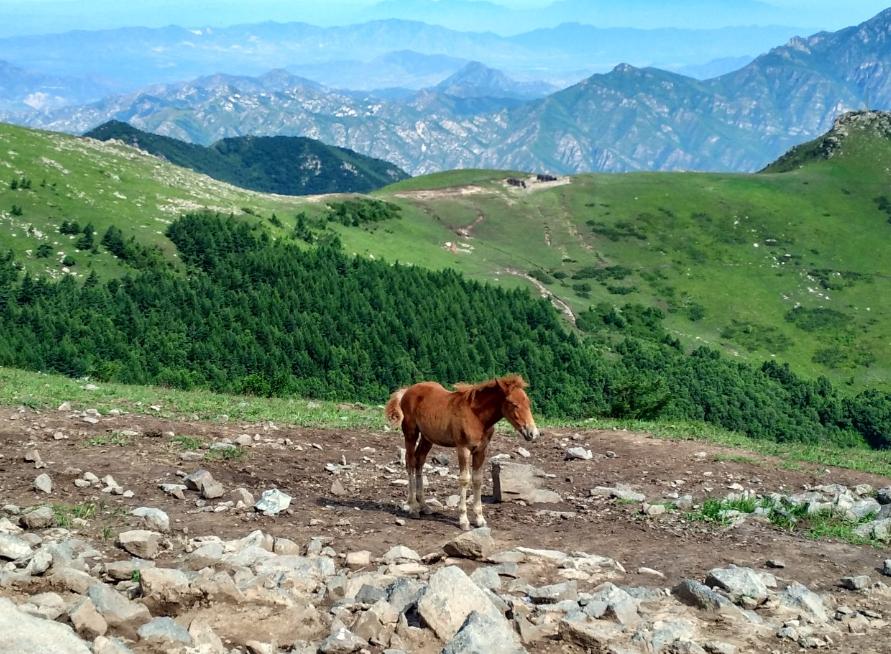 黄山景点关闭最新消息,黄山冬季关闭景区