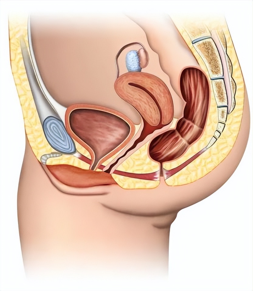水上乐园妇科传染病案例,去完水上乐园怎么防止得妇科病