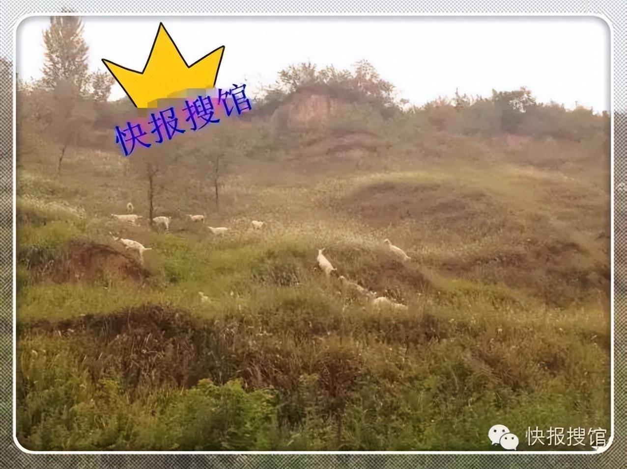 西安美食店攻略十大必吃排行榜,盘点西安那些隐藏的独特美食