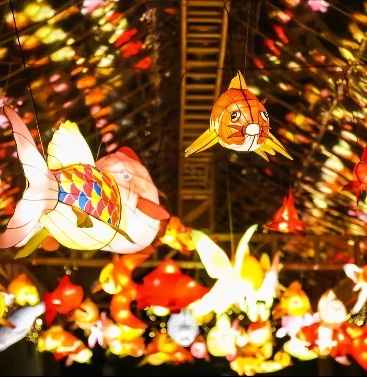 就在明天！万居·咏月-大万元宵节诗词灯会即将开幕！