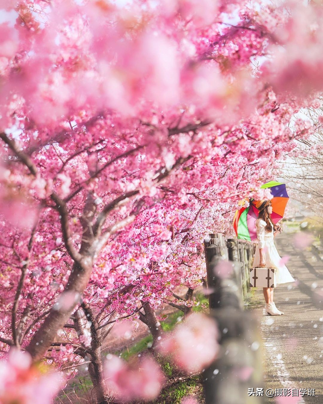 童话摄影拍摄技巧大全,童话风写真拍摄技巧