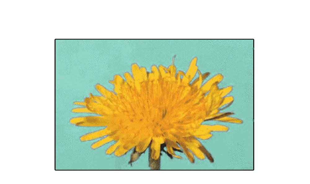 男人每天提肛十分钟，真的能增加*生活性**持久度吗？