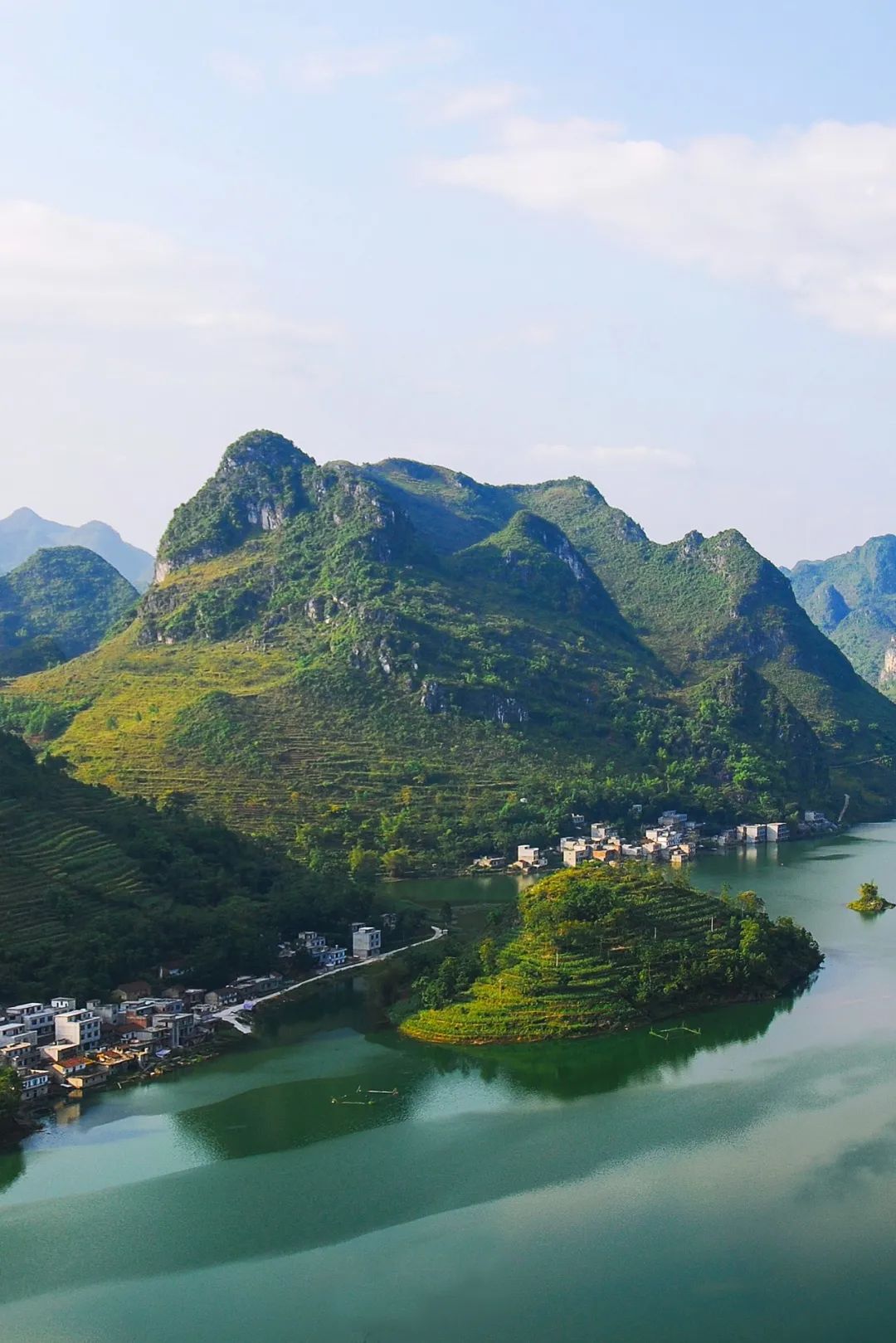 猫咪走太空步原视频最火,猫咪壁虎漫步视频